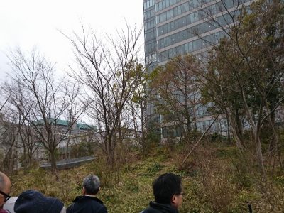 平成31年2月13日　生態系に配慮した緑化のための講習会―現地見学会　DNP市ヶ谷の杜